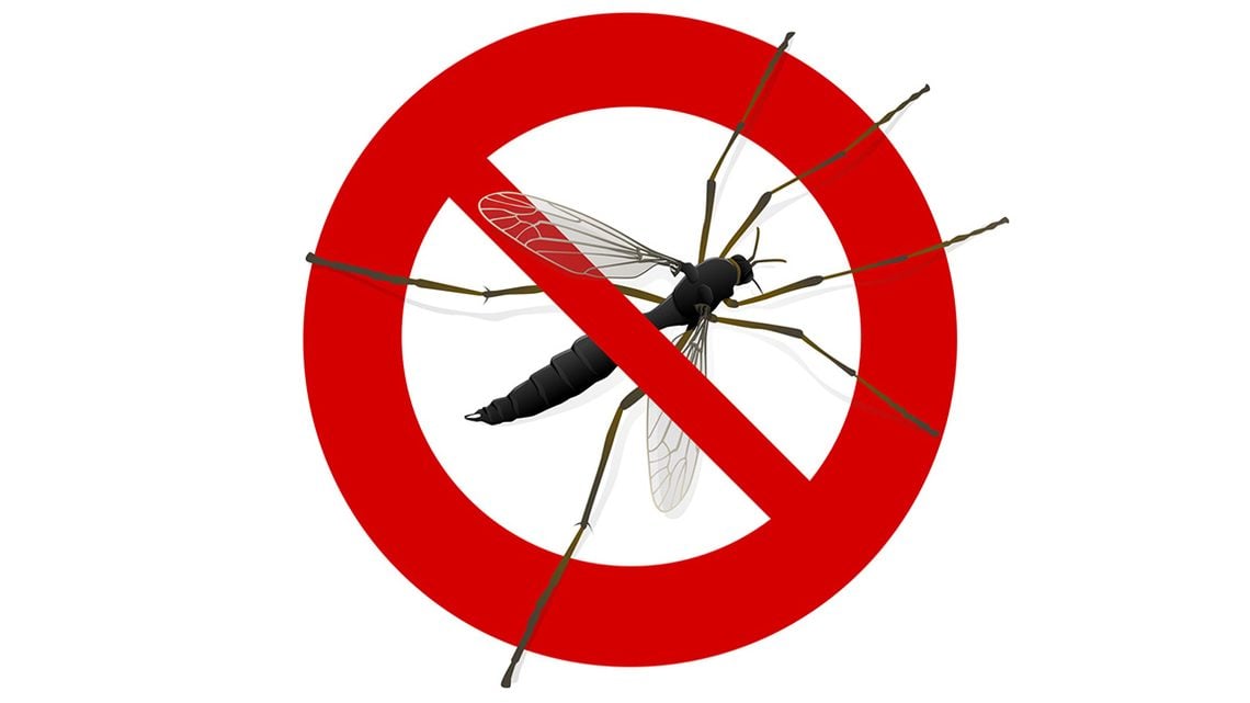 Tipps zum Mückenschutz